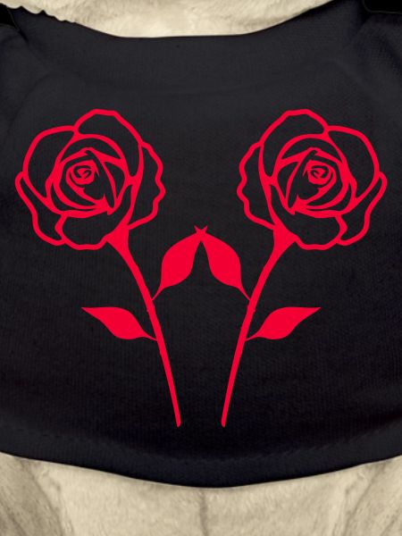 roses