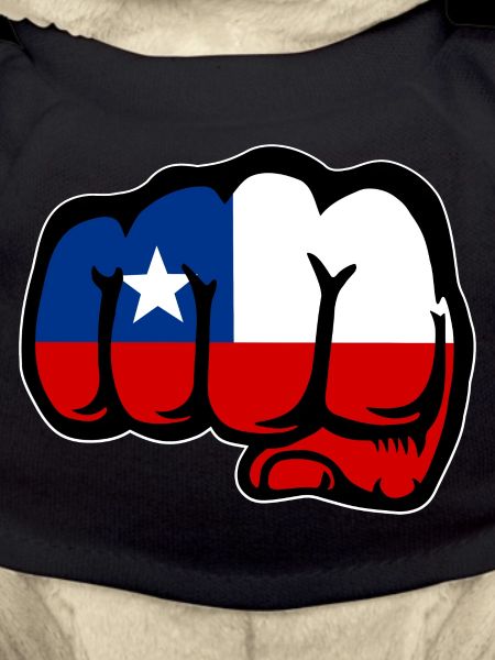 Chile Flag Fist