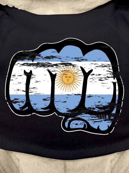 Argentinien Flagge Faust used