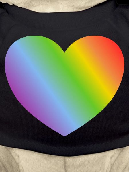 Rainbow heart