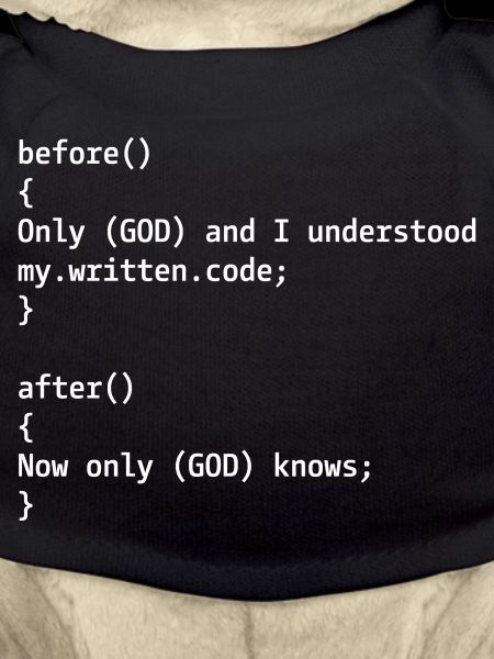 Programmer Joke
