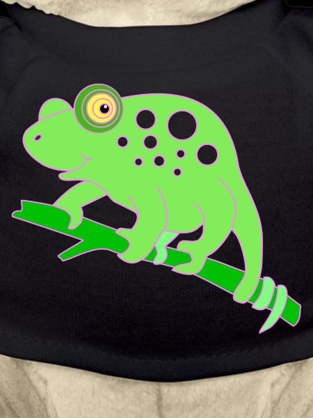 Chamaeleon animal
