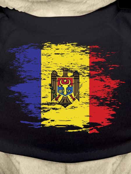 Moldova flag used