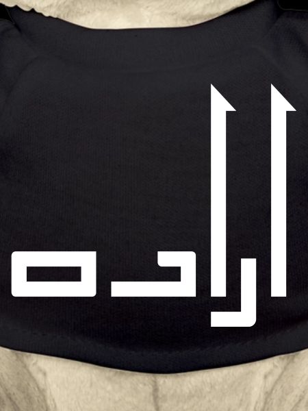 Irada in Arabic - will