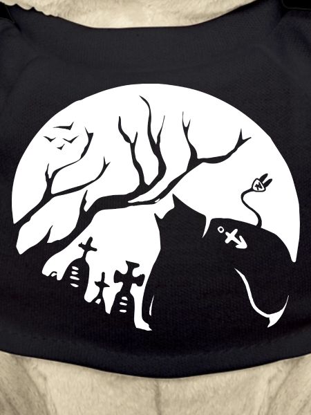 Silhouette d’animal nocturne
