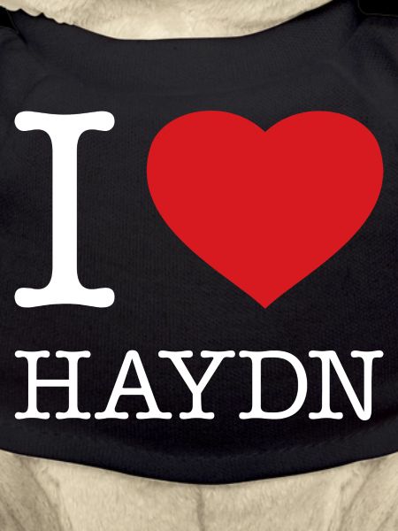 J’ADORE HAYDN