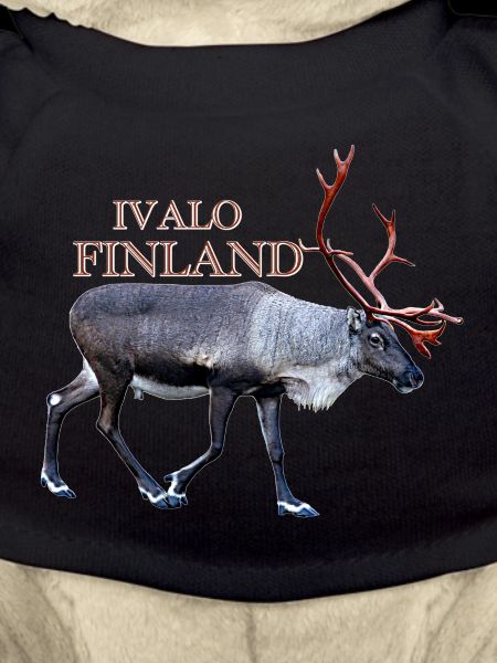 Ivalo