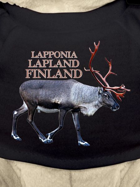 Lapponia