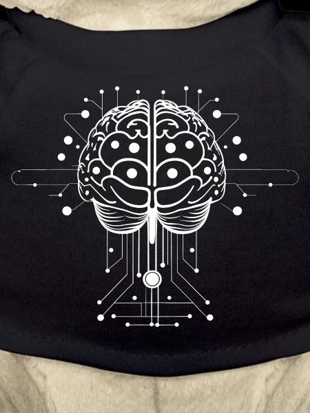 Brain AI