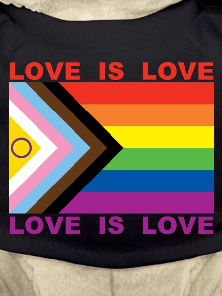 LOVE IS LOVE
