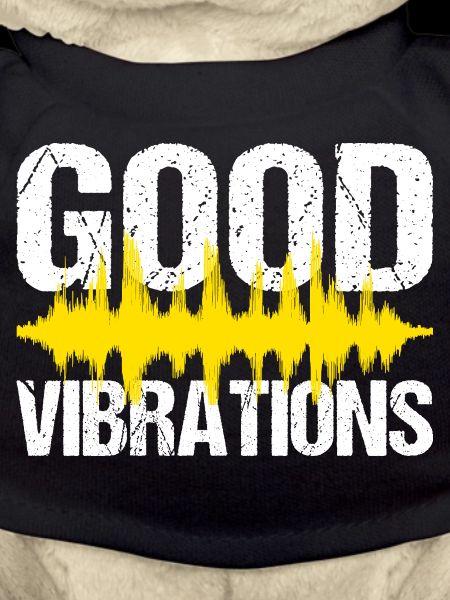 Good Vibrations Music Party
