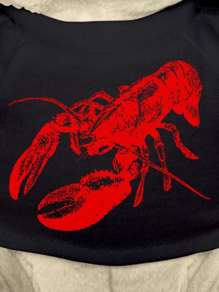 Bold Red Lobster Graphic Design