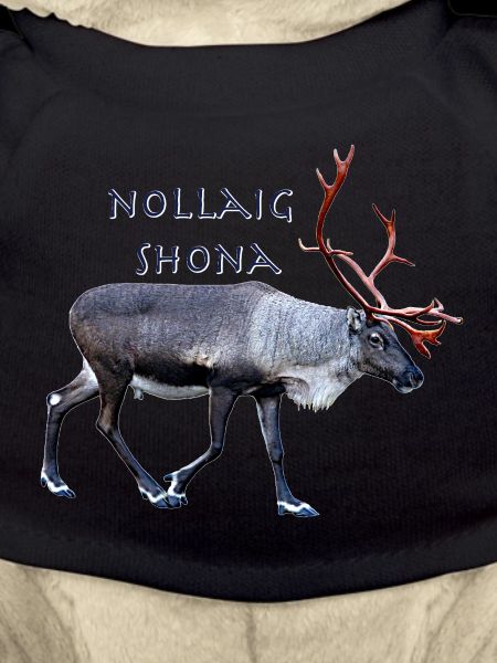 Nollaig Shona