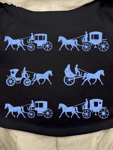 Carriage Coachman