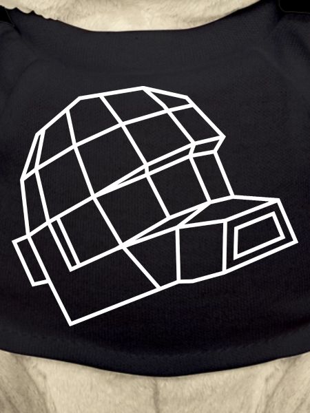 Daft Helm – Electro, Dance & Robot Style