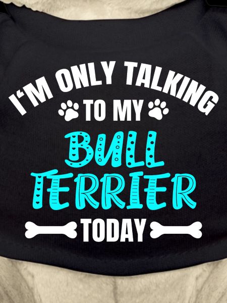 Bull Terrier Bullterrier