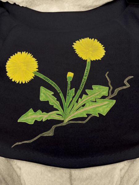 Dandelion Feminism