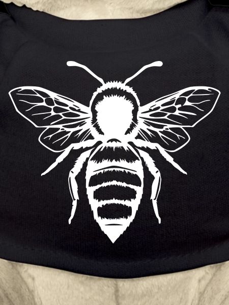 Bee Honey Bee Beekeeper Gift