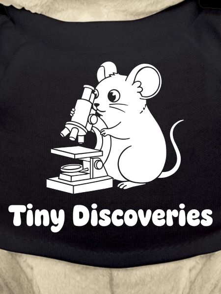 Petites découvertes : Souris devant le microscope