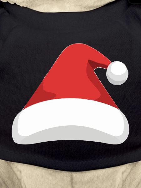 Elf Hat Santa Hat