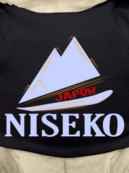 Ski, Snowboard, Niseko
