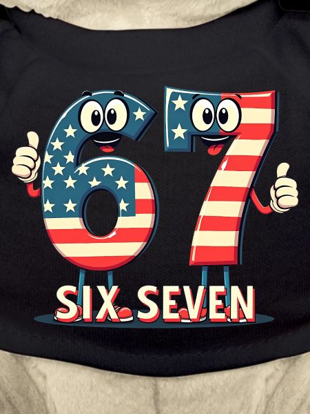 US Flag 67 Memes Six Seven