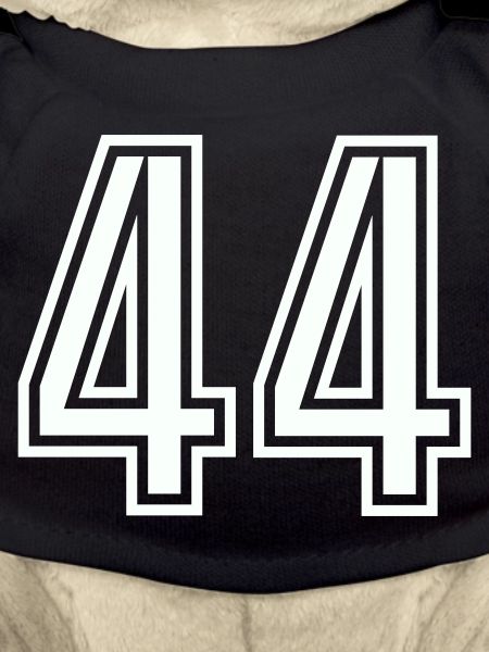 44