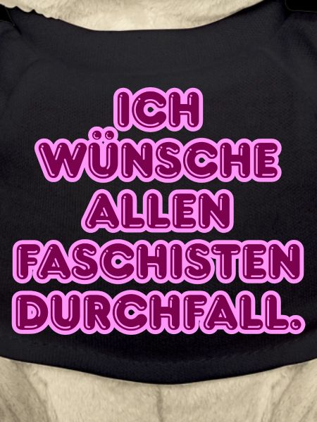 Gegen Faschisten Pink Protest