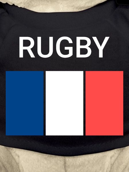 Rugby Frankreich