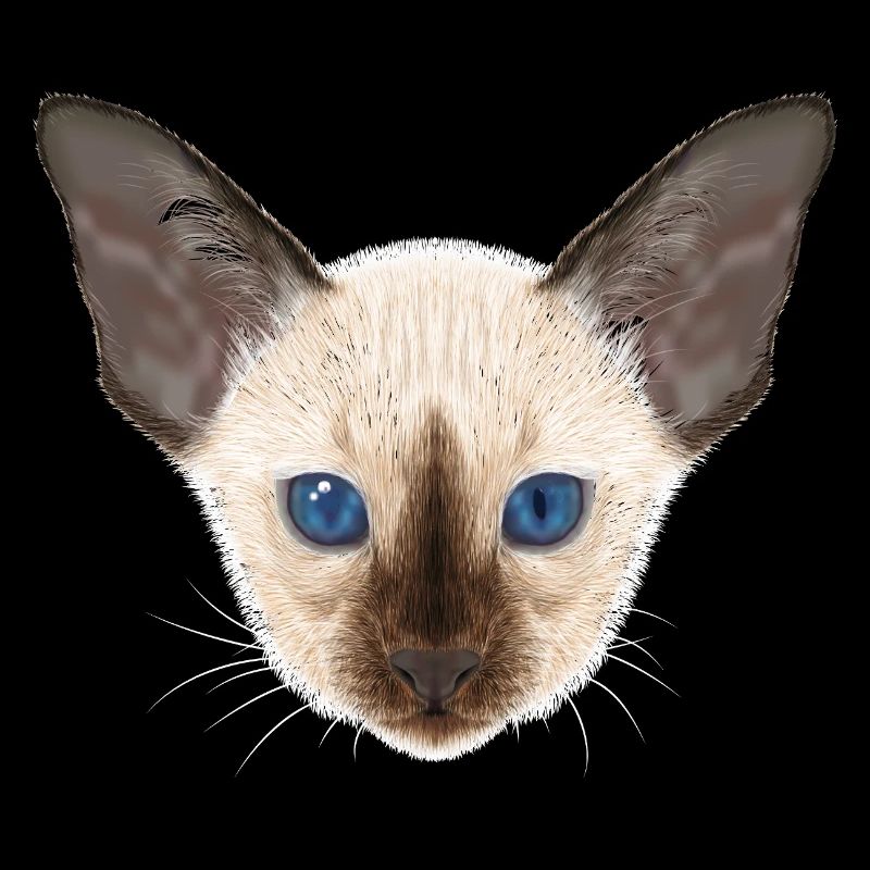 Siamkatze 