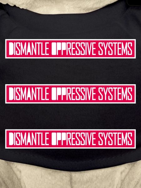 Dismantle Oppressive Systems Activism Statement