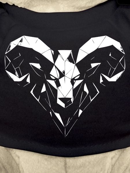 Geometric ram polygon design