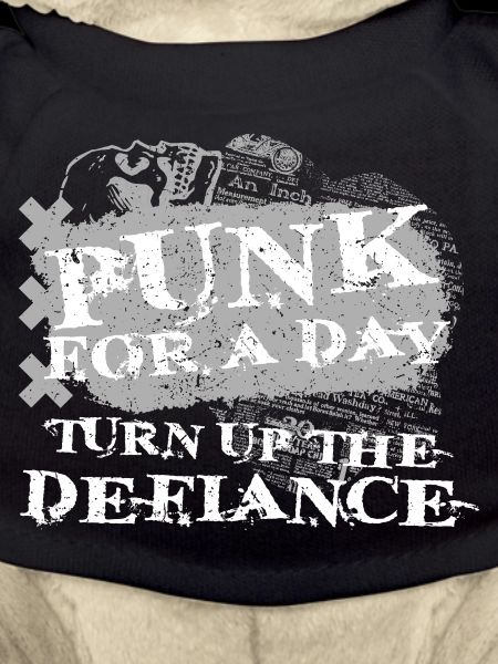 Punk For A Day