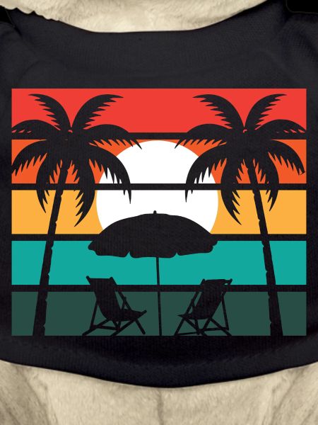Beach palm and sun