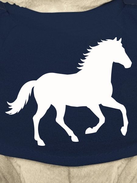 Silhouette d’un cheval sauvage