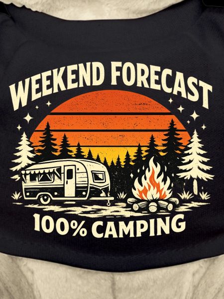 Wochenendprognose Camping 100%