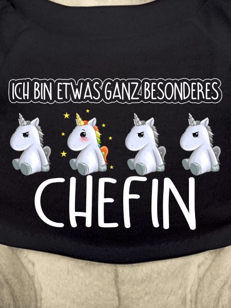 CHEFIN - Toll