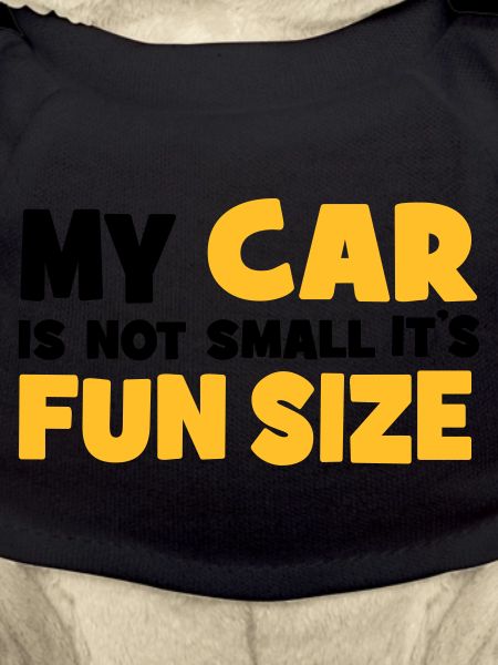 small car