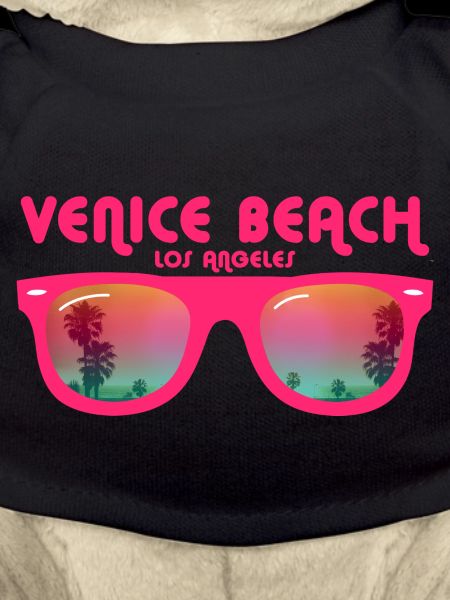 Venice Beach Los Angeles