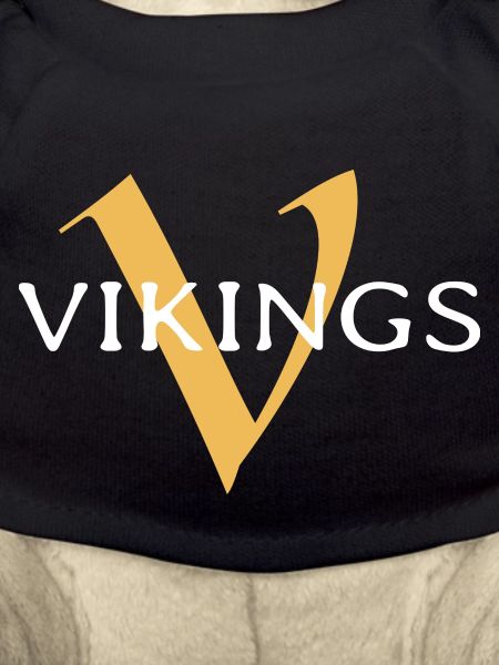 Vikings