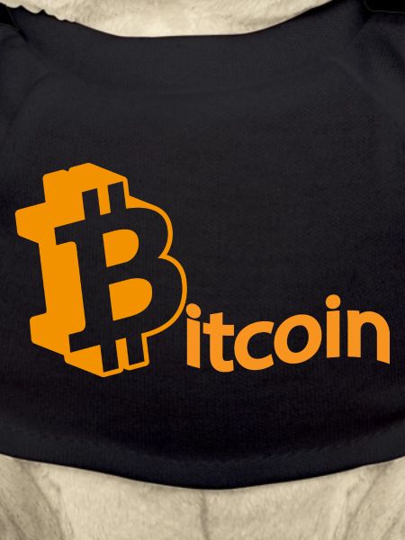 Bitcoin Crypto