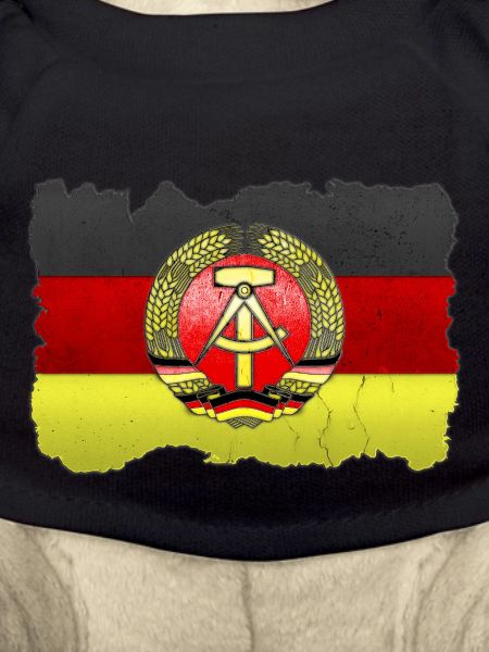 DDR