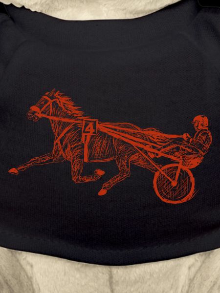 harness racing