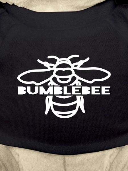 Bumblebee Bold Typografie