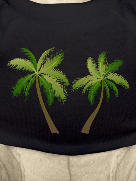 palm tree palm palms