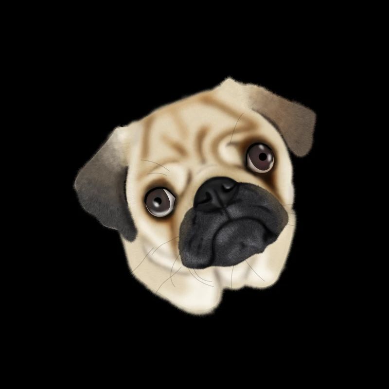 pug