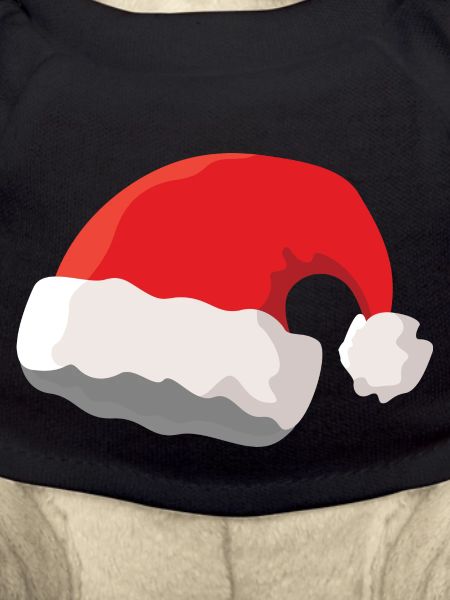 Christmas hat