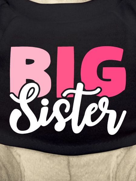 BIG SISTER