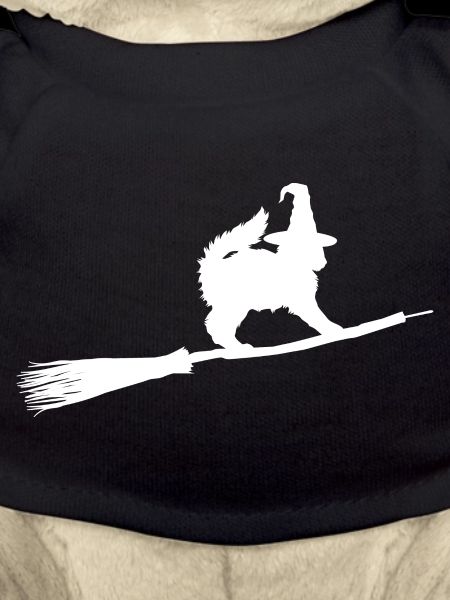 Sorcière de chat