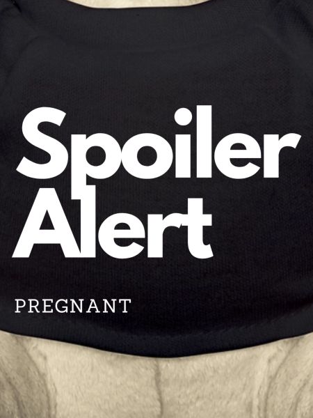 Spoiler Alert Conception enceinte